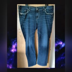 Silver Jeans Co. Aiko Mid Slim Boot Size 22W